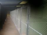 6 ft high chain link 